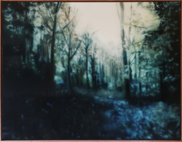 SA_Paintingstomyselfwhenim80_aforrest_15 SA_Paintingstomyselfwhenim80_aforrest_15